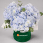 3 голубые гортензии в коробке — вид 3