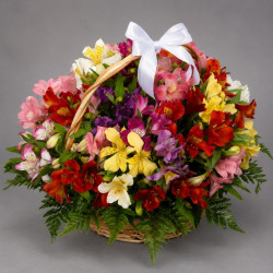 Корзина из 25 разноцветных альстромерий